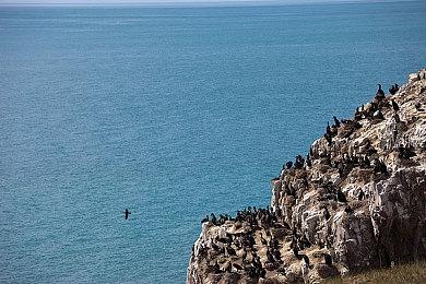 科隆：科幻FPS《原子之心》战斗预告